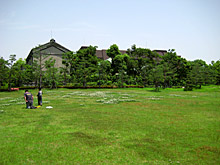 fujita park