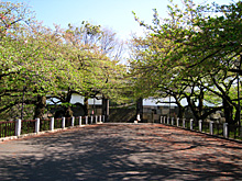 the tayasumon gate